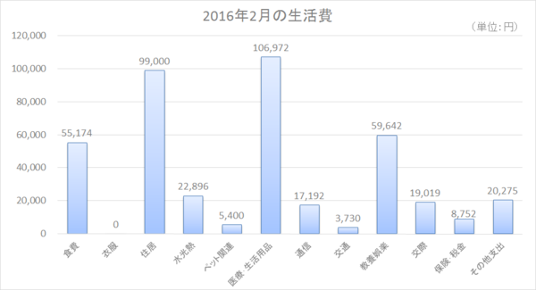 2016年2月の家計簿.png