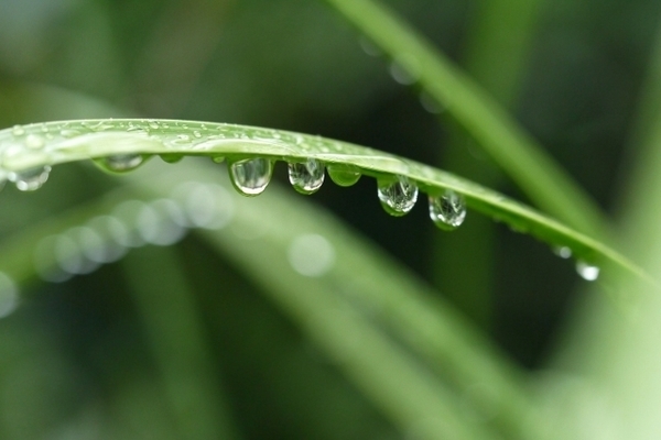 梅雨.jpg