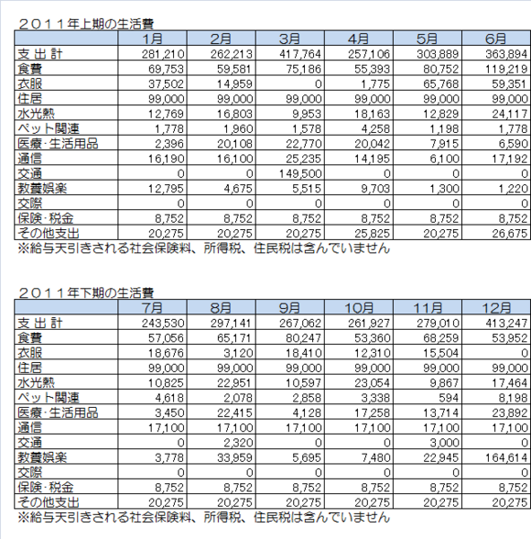 2011年の月別生活.png